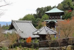 Honyama Cha Sencha