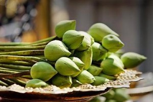 Green Lotus Hearts Grüntee